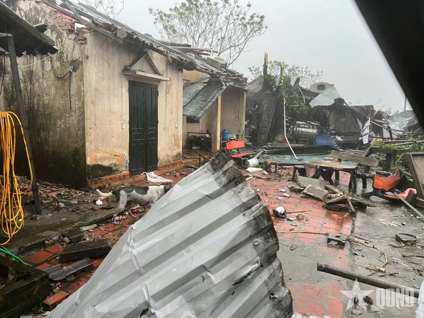 Bão số 10 tại Thanh Hóa: Nhiều khu dân cư tan hoang, cây đổ la liệt, nước ngập nhiều tuyến phố